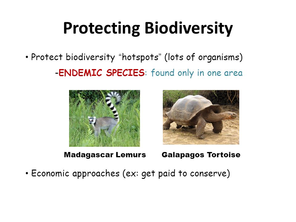 Biodiversity & Species Conservation